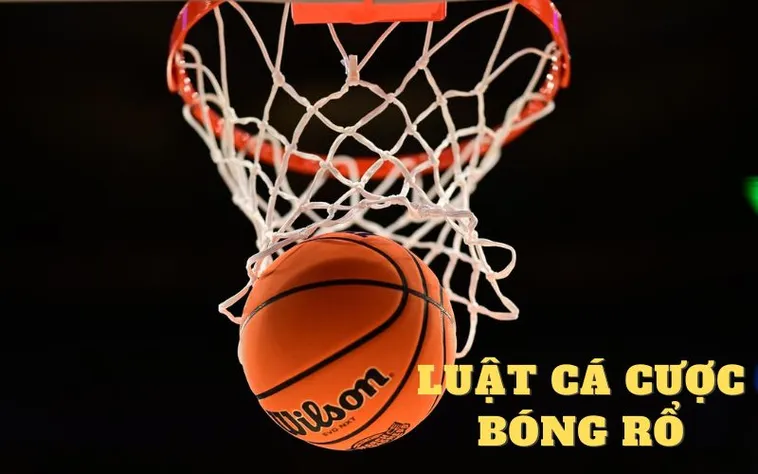 Tìm Hiểu Cá Cược Bóng Rổ F168: Hành Trang Cho Người Mới 2 Tìm Hiểu Cá Cược Bóng Rổ F168: Hành Trang Cho Người Mới