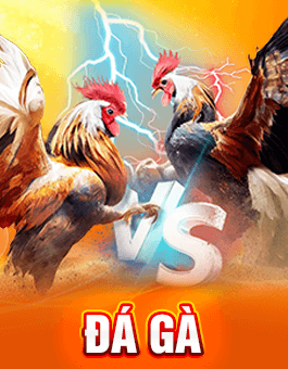 Trang chủ 12 f168 da ga